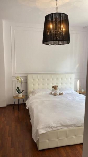 Hidden Gem apartment in the center of the City